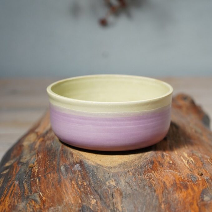 Double coloured food bowl for dogs "Lucky dog, ceramic bowl" (Green/Purple)